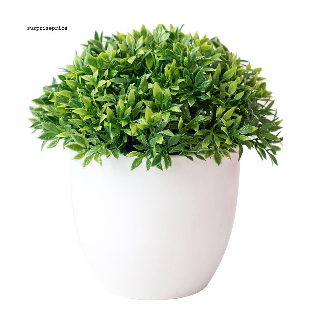 Chậu cây xanh nhân tạo bằng nhựa trang trí chất lượng cao