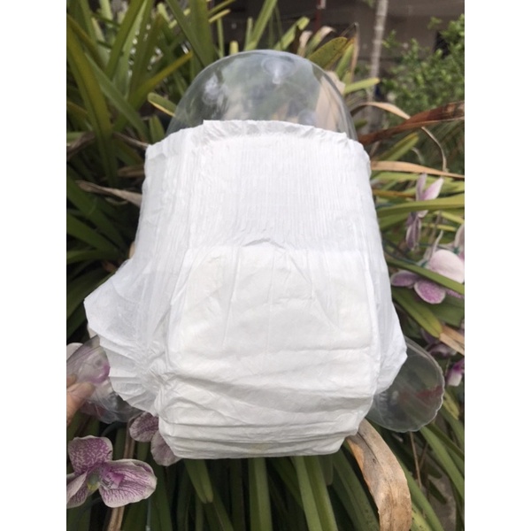 100 Bỉm dán HIPPIG A nguyên bao bì chuẩn xịn đủ size S100 m100 L100 Xl100