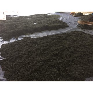 Chè búp Thái Nguyên 500g