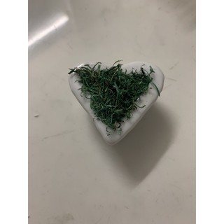 Chậu hoa sứ size nhỏ