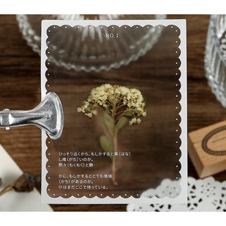Sticker PET khung phim ảnh