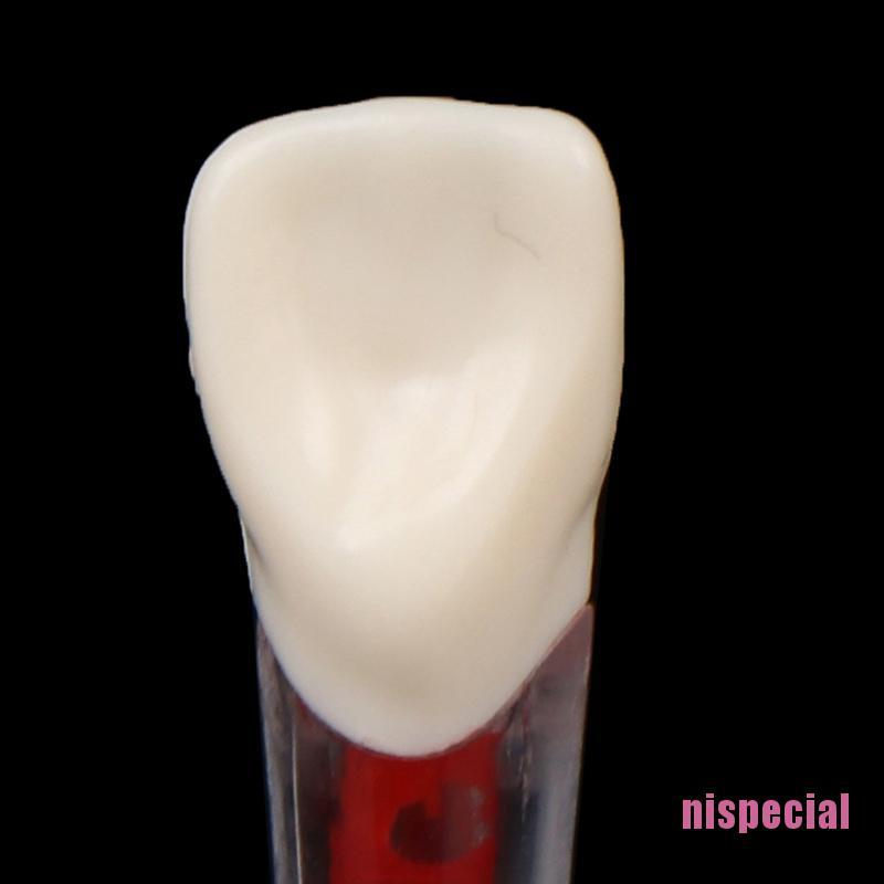 (Hàng Mới Về) Bộ 2 Chiếc Răng Giả Bằng Nhựa