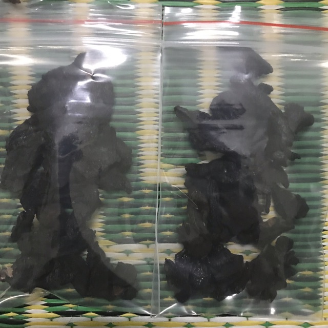 Hà thủ ô đỏ đã chế đậu đen, trà hà thủ ô 10gói 20gram | BigBuy360 - bigbuy360.vn