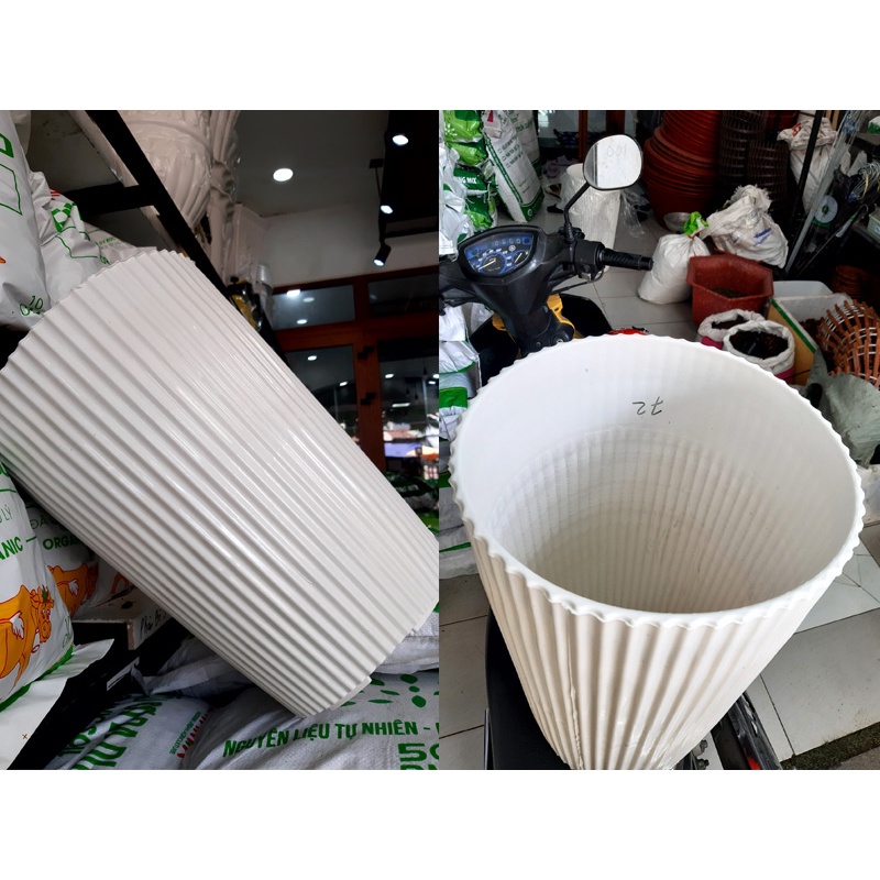 Set 02 Chậu nhựa gân sọc trắng cao cấp - hàng siêu dày, 3 size