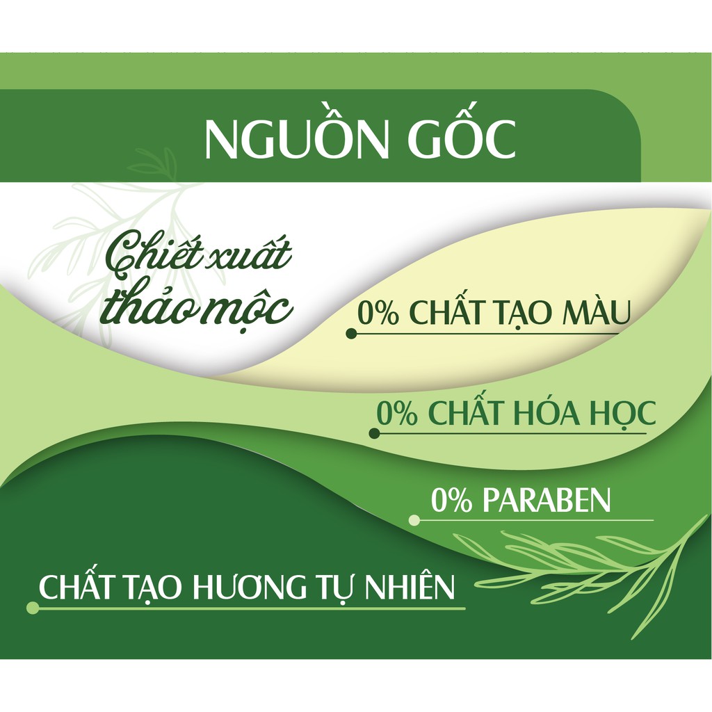 Dầu gội tinh dầu thảo mộc thiên nhiên 24Care - cam kết 1 lần gội sạch gàu