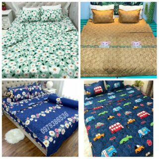 Set chăn ga gối poly cotton
