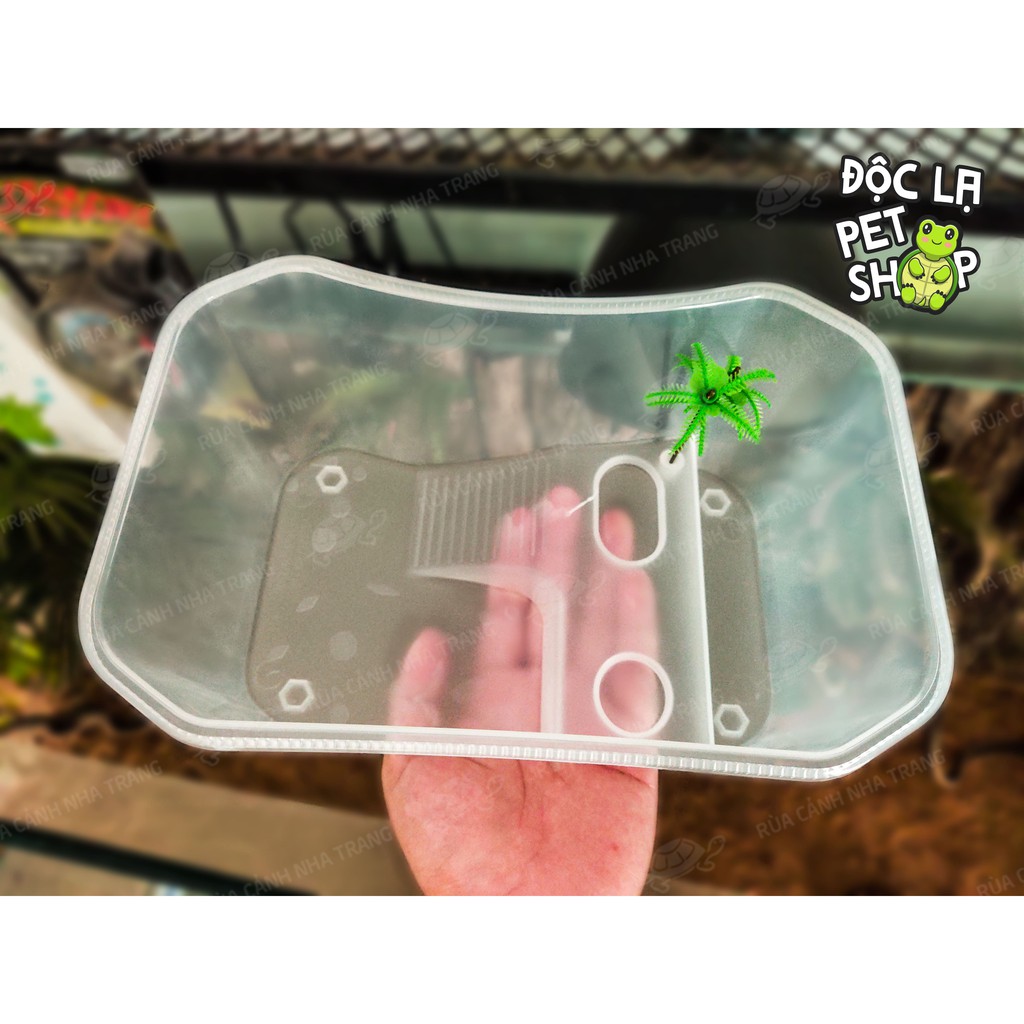 Hồ Nuôi Rùa, Bể Nuôi Rùa, Nuôi Bò Sát