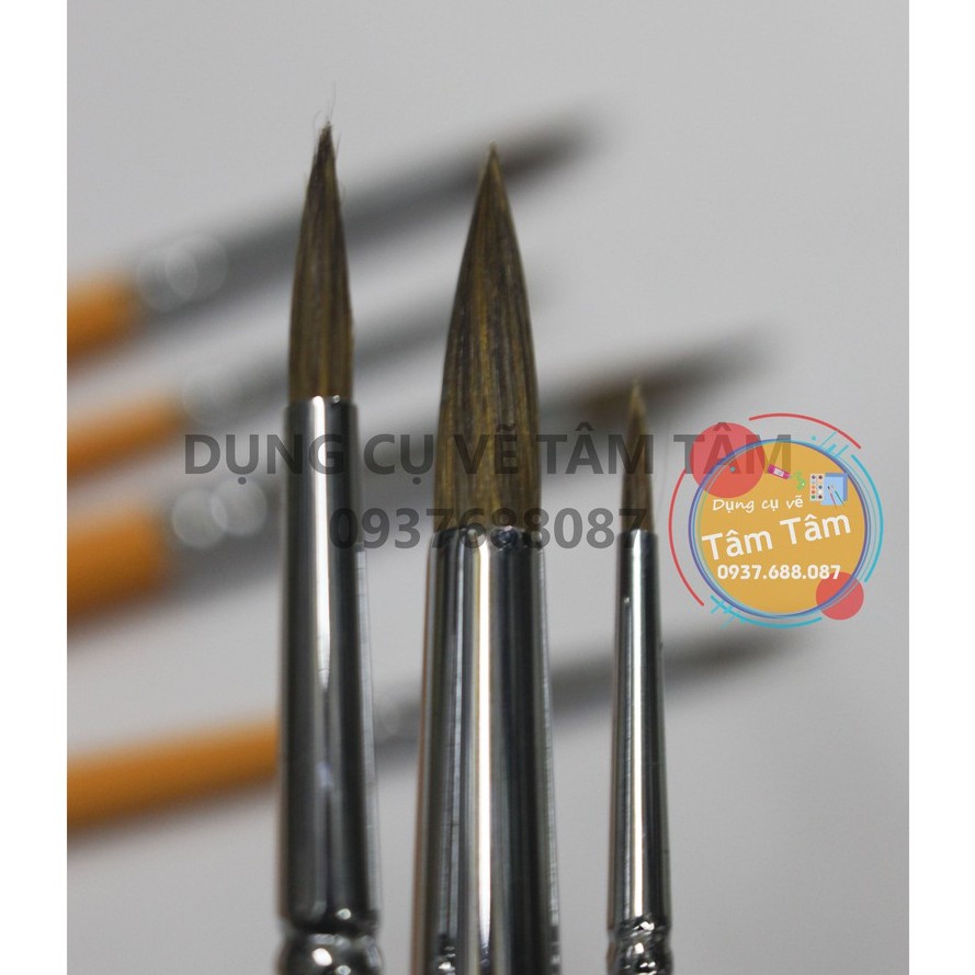 [ TÂM TÂM ]-Bộ cọ vẽ Phoenix 8805S-7, cọ lông sóc, cọ lông thú (Cọ đầu nhọn)-