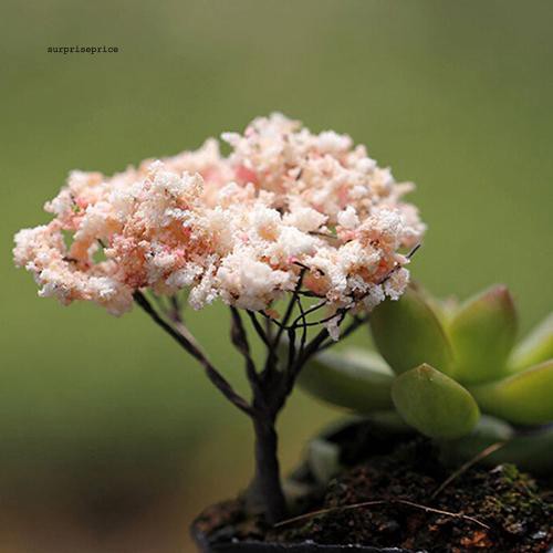 Mô hình cây thu nhỏ trang trí nhà và tiệc nhiều loại