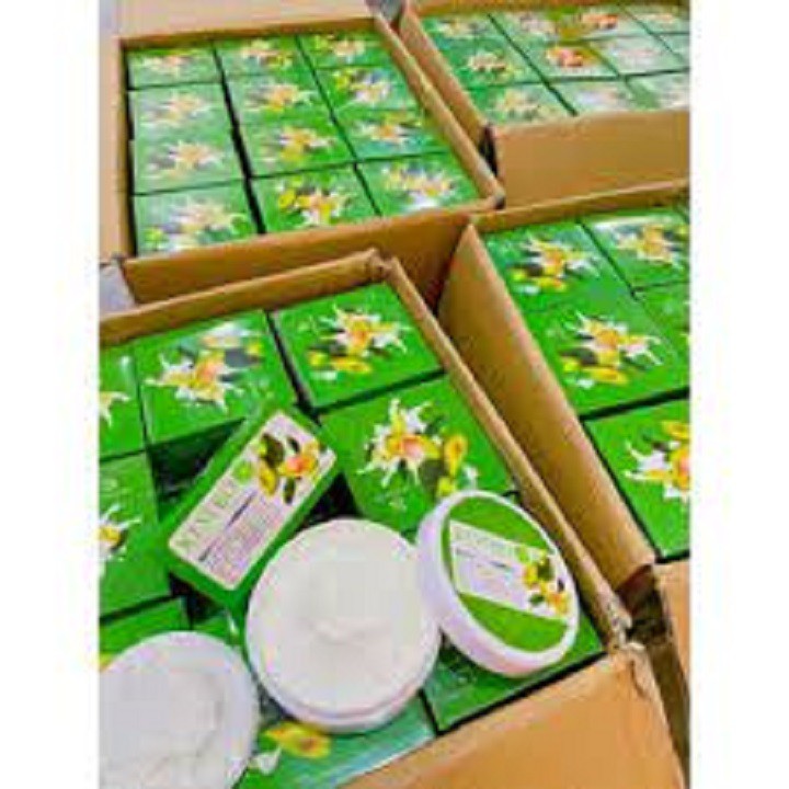 Body bơ lá mẫu mới