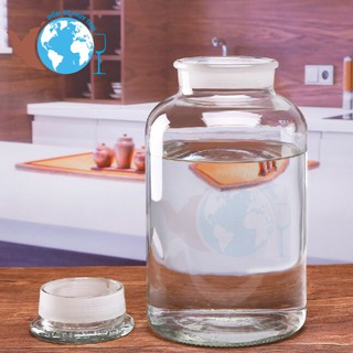 Bình ngâm rượu 50l