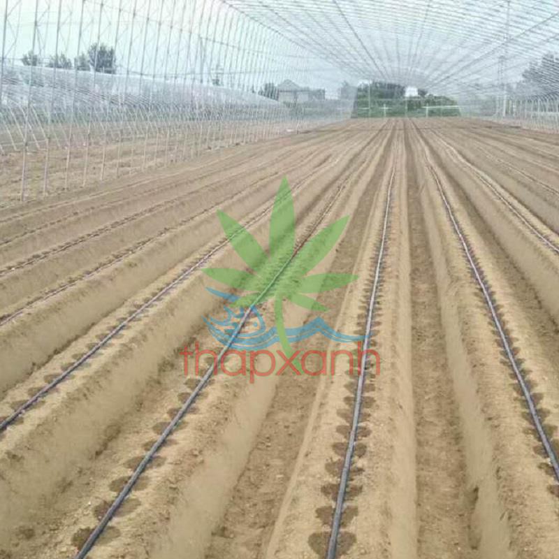 Cuộn 1000m Dây tưới nhỏ giọt 1602.20.2L, Băng nhỏ giọt bù áp Dây bẹt PE, Mắt 20 cm, Dày 0.2 mm