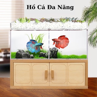 hồ cá đa năng có lọc dành cho người mới chơi cá cảnh