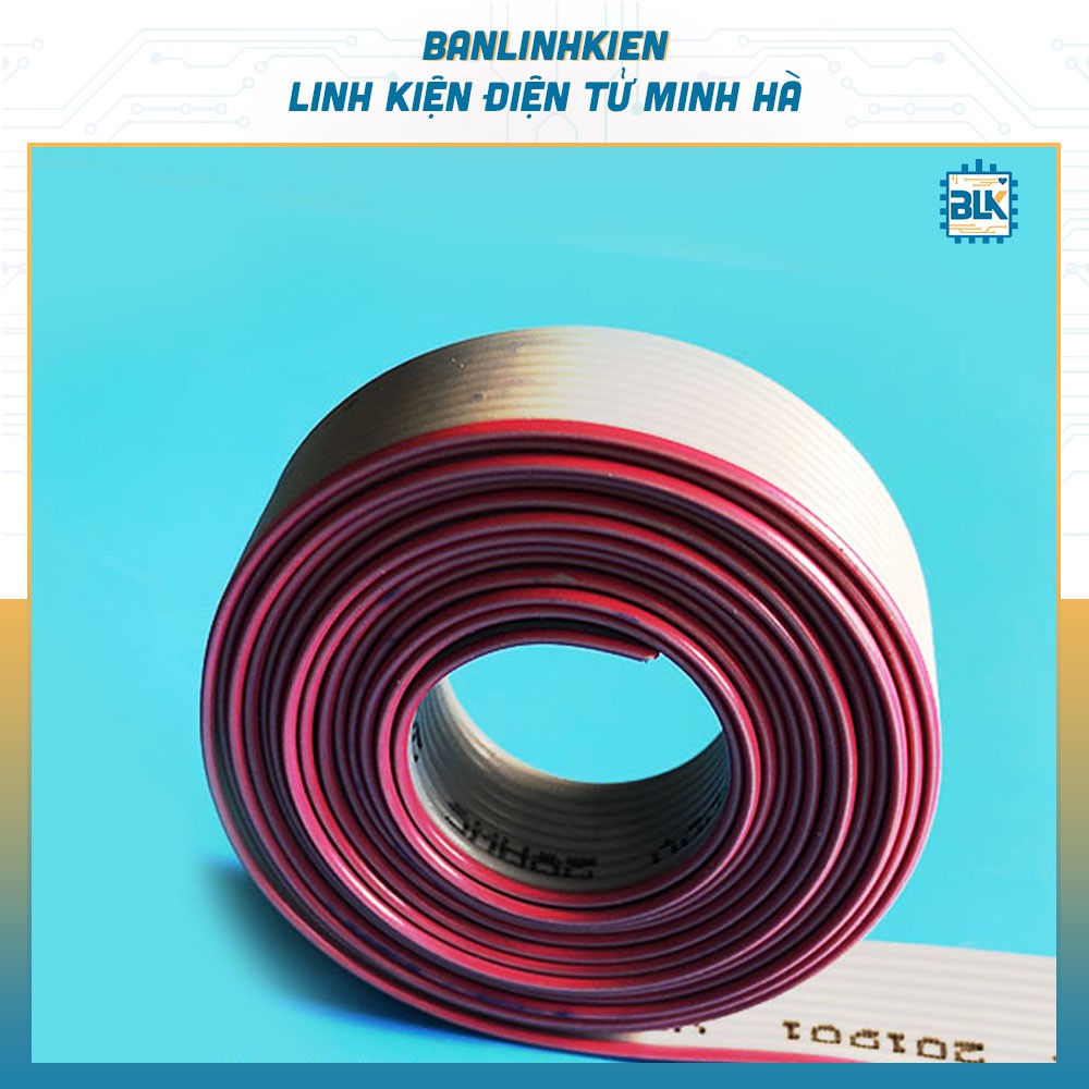 Dây IDE40 2.54MM( 1 mét)