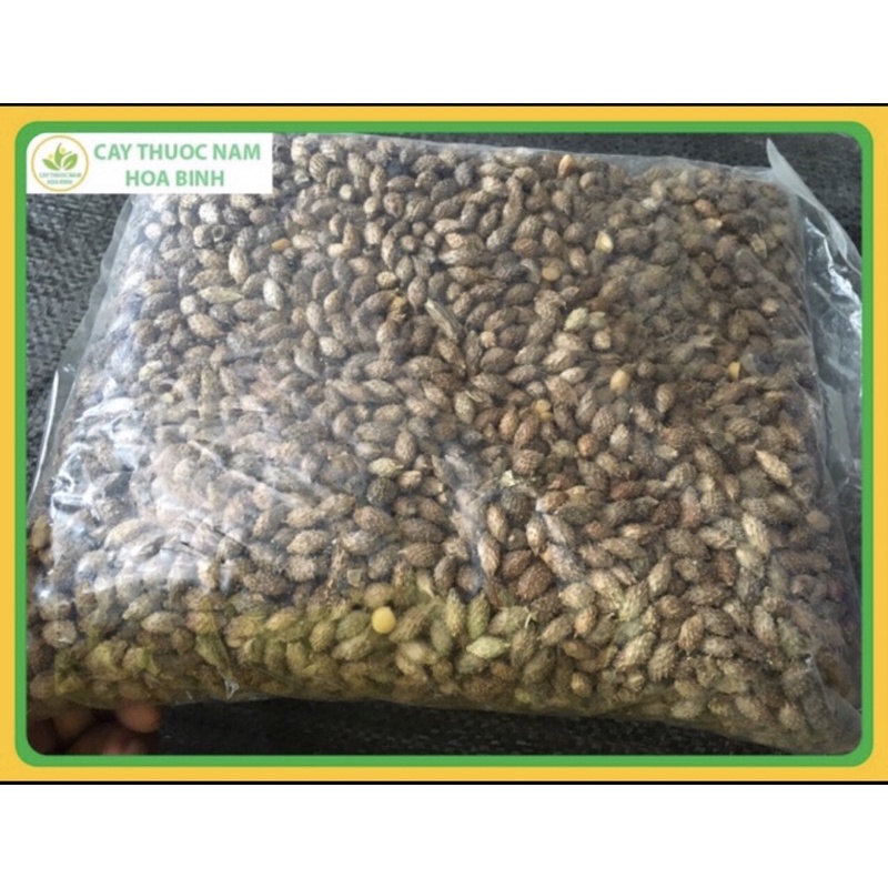 1Kg Quả ké đầu ngựa khô