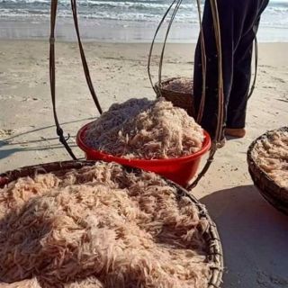 Ruốc khô Quảng Ngãi 500g