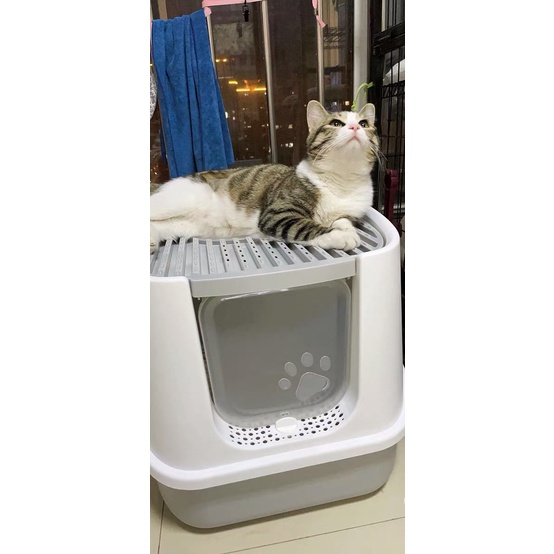 Nhà vệ sinh cho mèo ngăn mùi chống văng cát 2 cửa thế hệ mới 2023 tặng kèm xẻng - 4pets official