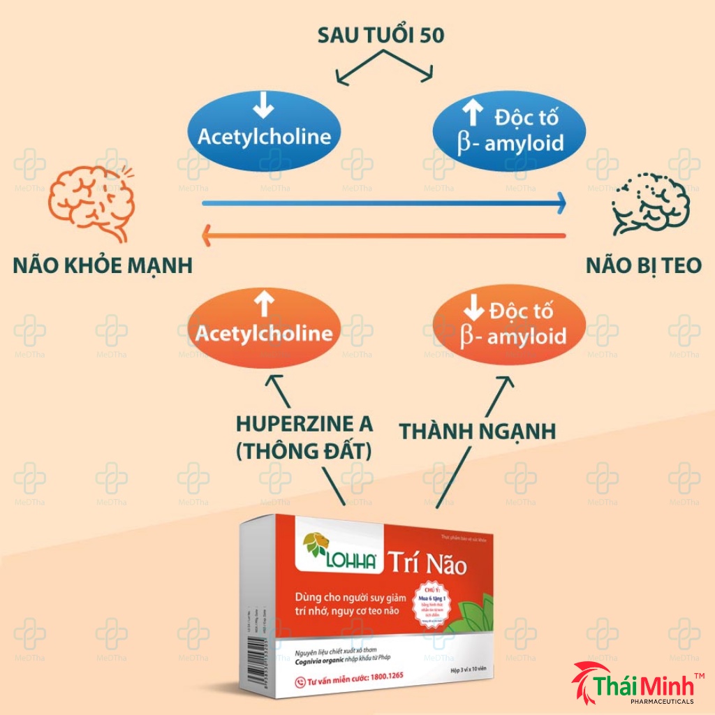 Viên uống bổ não Lohha Trí Não - Giúp hoạt huyết dưỡng não, ngăn ngừa teo não, sa sút trí tuệ (Hộp 30 viên)
