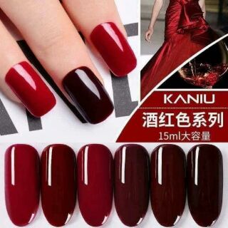 Set sơn gel kaniu