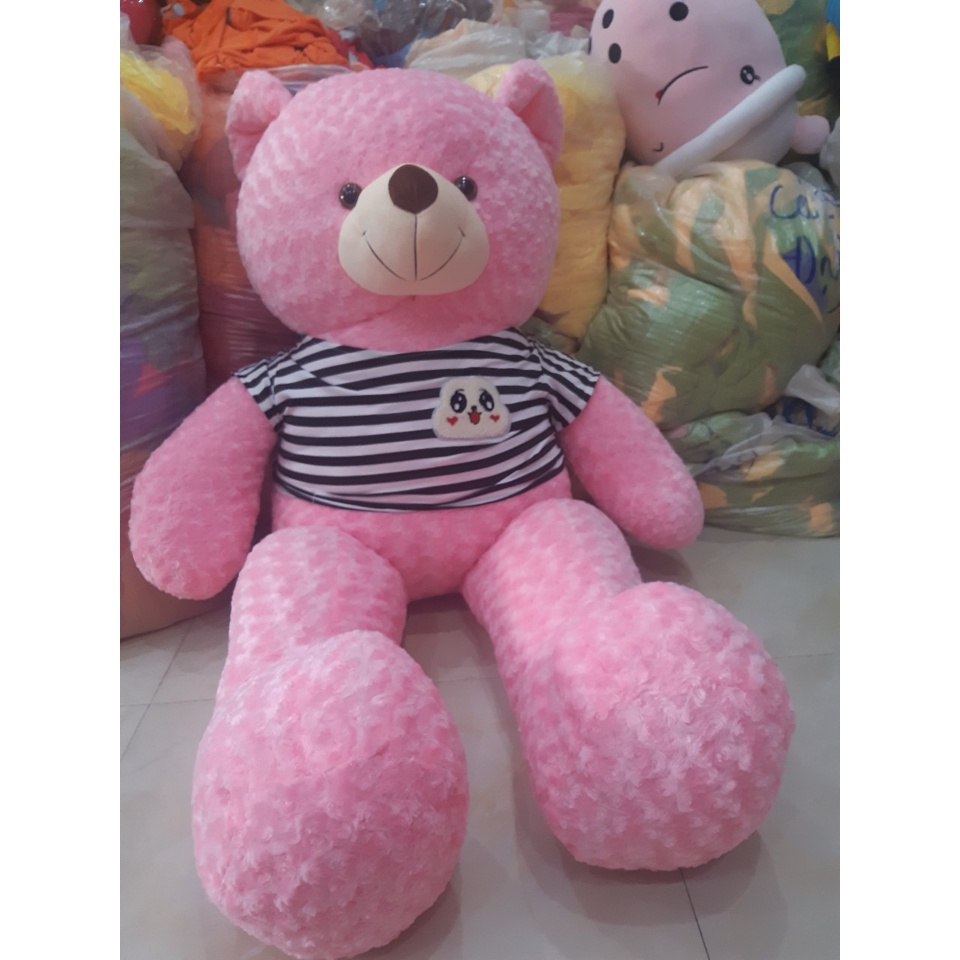 Gấu Teddy Lông Hoa Hồng Mặc Áo tphcm, Teddy Khổng Lồ 1m5 ,Thú Bông Cute, Qùa Tặng Sinh Nhật