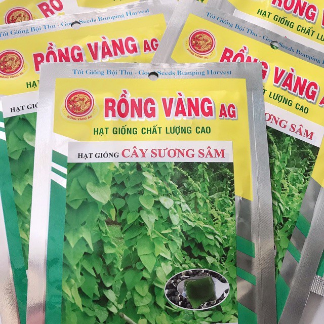 Hạt giống cây sương sâm ( sâm lông ) gói 10 hạt giá rẻ