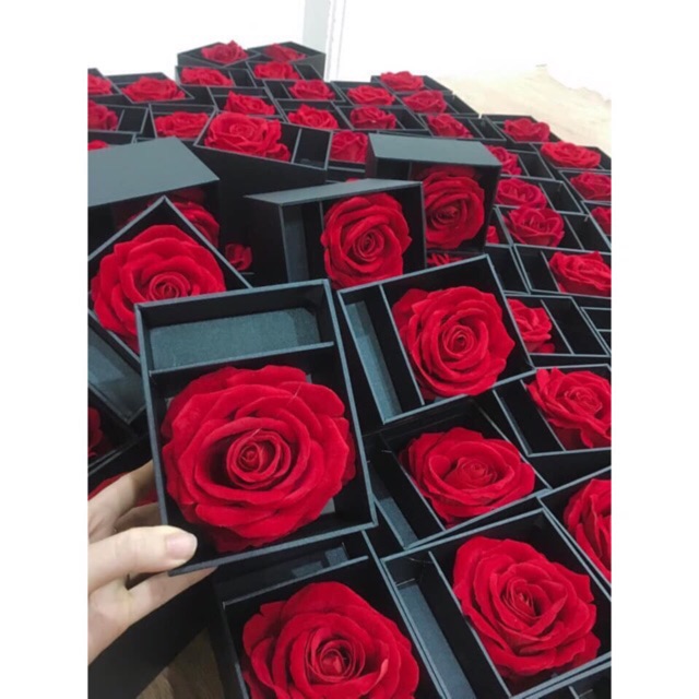 Sỉ hộp đựng Son-Hoa Lụa cực Chảnh | BigBuy360 - bigbuy360.vn