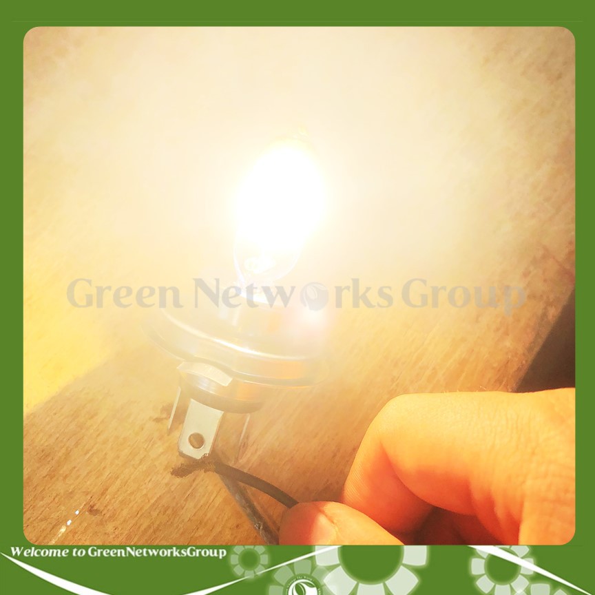 Bóng đèn Halogen Tiger HS1 chân H4 35W – 12V Greennetworks