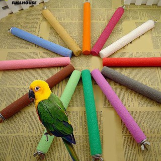 Đồ chơi mài móng cho vẹt cưng