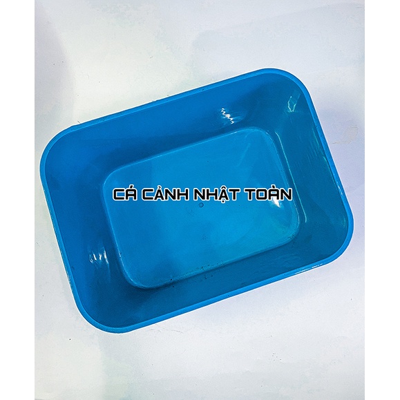 THÙNG NHỰA 7 LÍT NUÔI CÁ BẢY MÀU BETTA 30X22X16CM