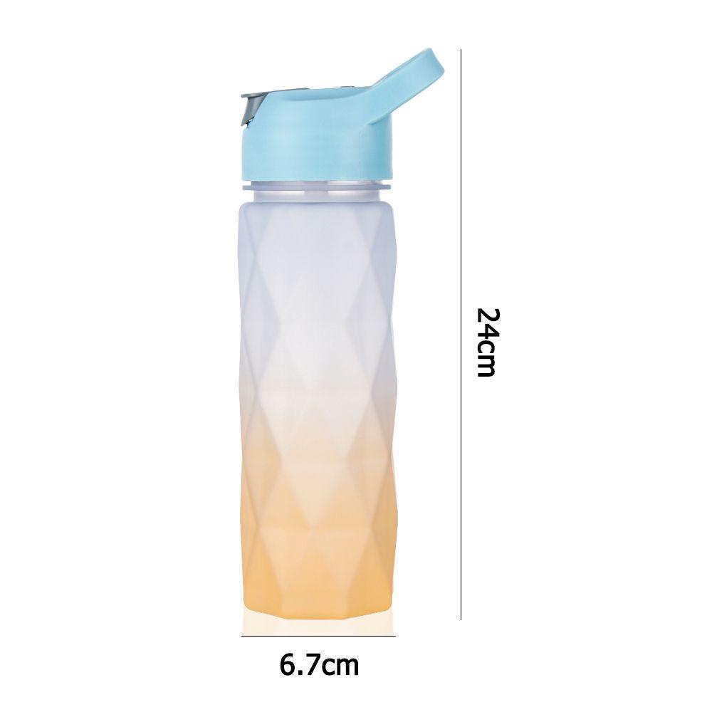 Bình Nước 600ml Màu Gradient Cầu Vồng Chống Rò Rỉ Dành Cho Nam Và Nữ