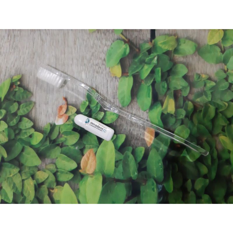 bàn chải kèm kem du lịch (sll)