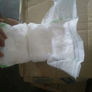 BỈM DÁN TRẦN PAMPAS M10/L9/XL8