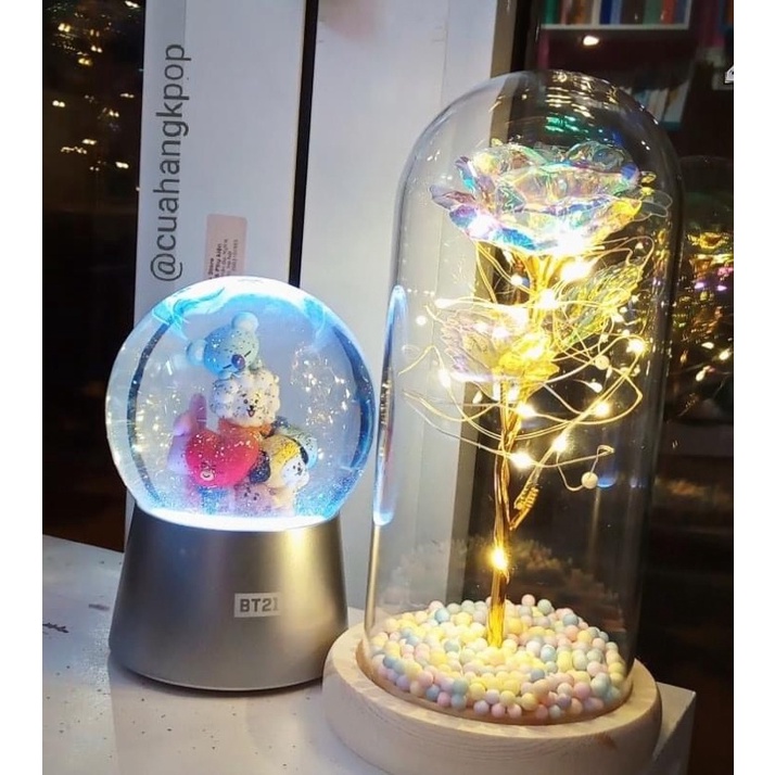 Hoa hologram kèm bình thủy tinh Cửa hàng Kpop
