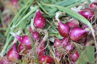 Hành tím Lý Sơn loại 1 ( 1 kg )