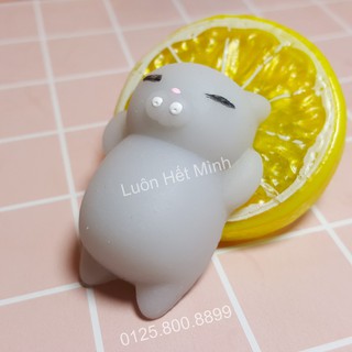 zSquishy Mochi Mèo Xámt