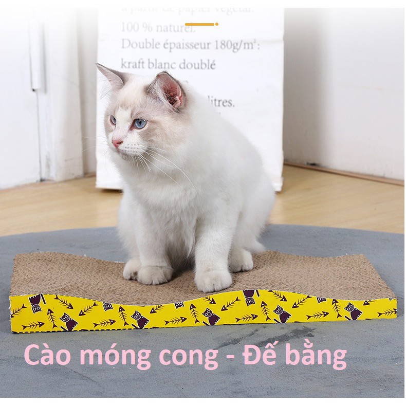 Bàn Cào móng cho mèo Loại Cong đế bằng size 43x22x35cm