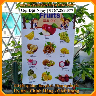 Bảng chữ cái tranh treo tường (Văn phòng phẩm giá sỉ) .
