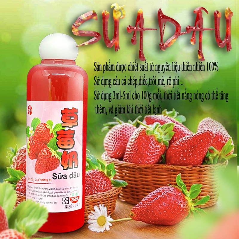Tinh Chất Sữa Dâu Đại Ca Đại