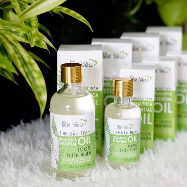 Dầu tràm Huế nguyên chất cho mẹ và bé, hàng được chứng nhận kiểm định