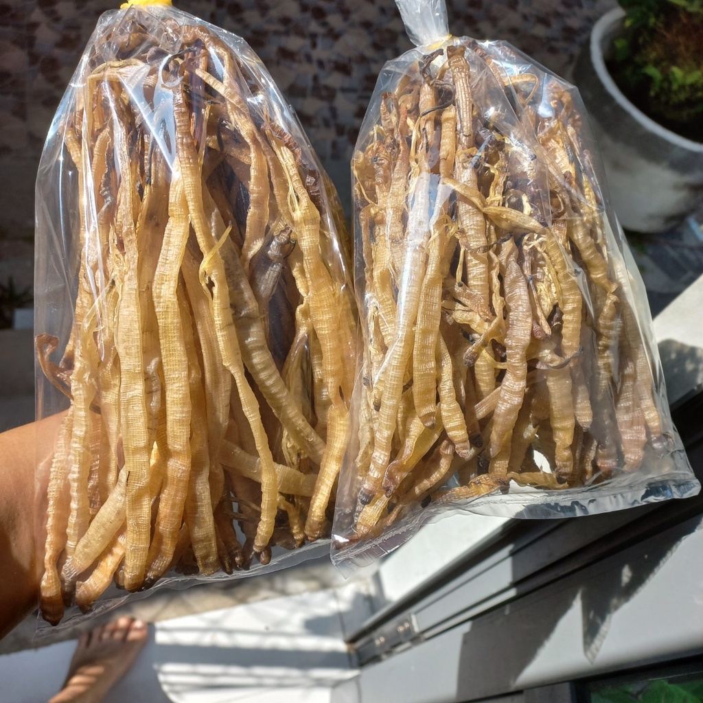 Sá sùng khô nấu phở con to loại 1 , sá sùng hải sản Như Hoa Phú Yên.