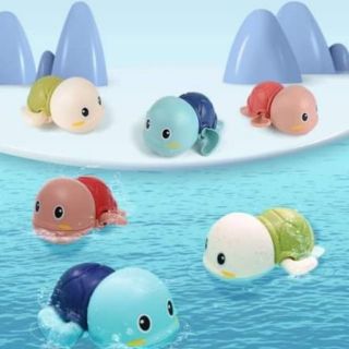 Set 3 Chú rùa con đang tập bơi trong chậu nước