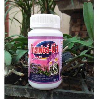 Phân bón kích ra rễ Super - B1 Thái 100ml