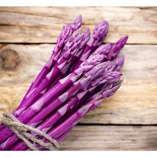 Hạt giống măng tây tím dễ trồng