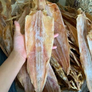 1 Con Khô mực câu loại Thượng Hạng [FREESHIP] chuẩn mực câu Nghệ An 100% (size 8-12 con/kg) - Mực xịn sò chuẩn Ngon nhất
