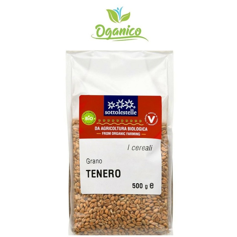 Hạt giống Cỏ Lúa Mì Hữu Cơ Sottolestelle 500gr -  Organic WheatGrass Seeds OL 12/2022 CLMYH