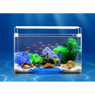 (Giá Rẻ Vô Địch)Đèn led siêu sáng (6 hàng bóng) cho bể cá, thủy sinh từ 20cm đến 70cm