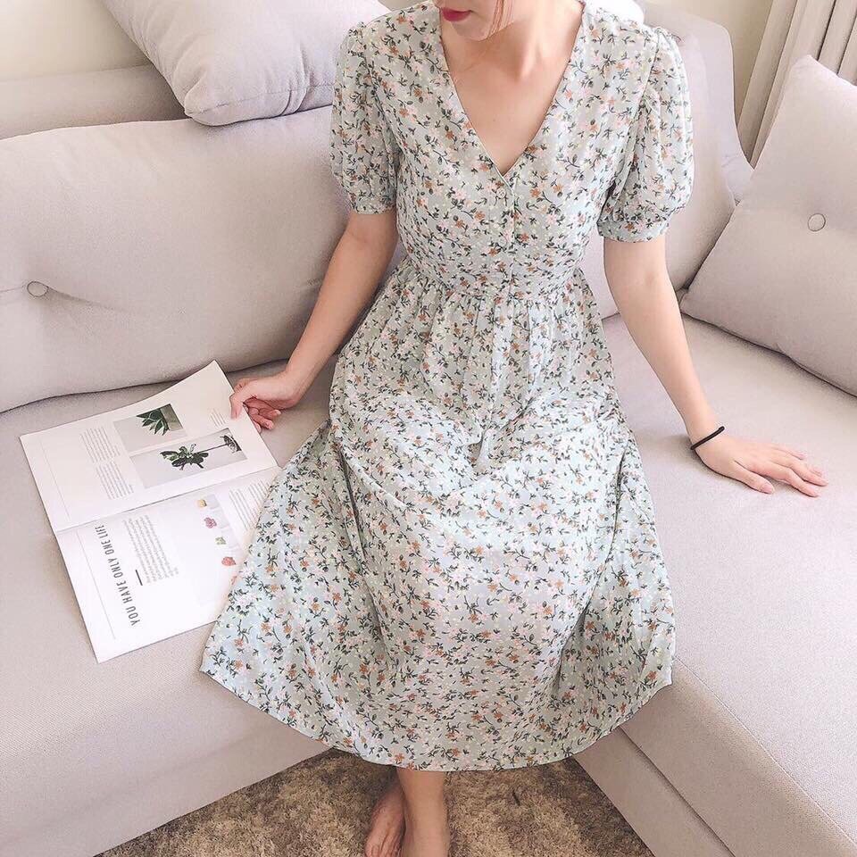 ĐẦM HOA NHÍ CỔ v