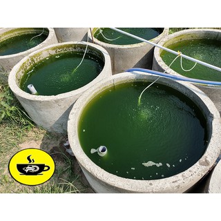 Máy bơm oxy hồ cá VIPSUN FISH VS cho bể cá