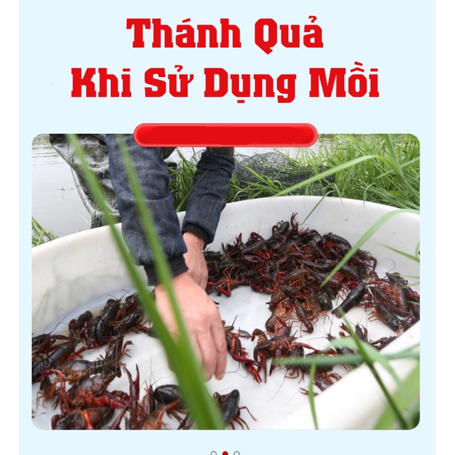 Tinh Chất Xịt Dẫn Dụ Tôm, Tép -  A Cường