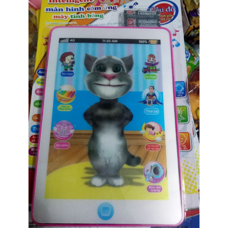 ipad mèo tôm thông minh
